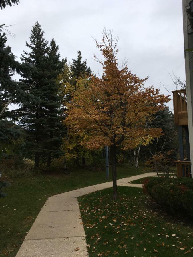 Blue Mountain Getaway At North Creek Resort King Bed Blue Mountains Esterno foto